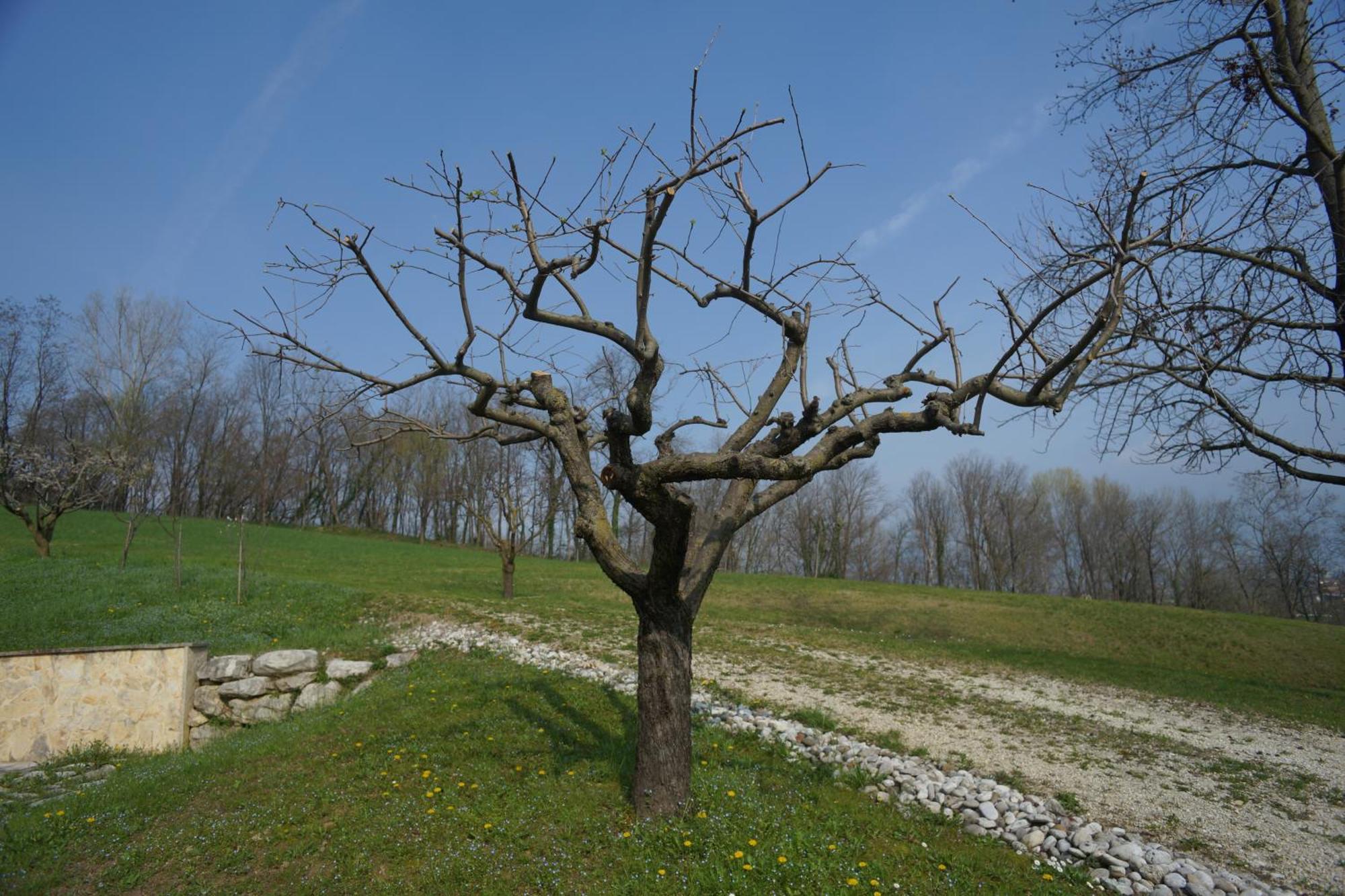 Nikolas' Valley Cornuda Zewnętrze zdjęcie