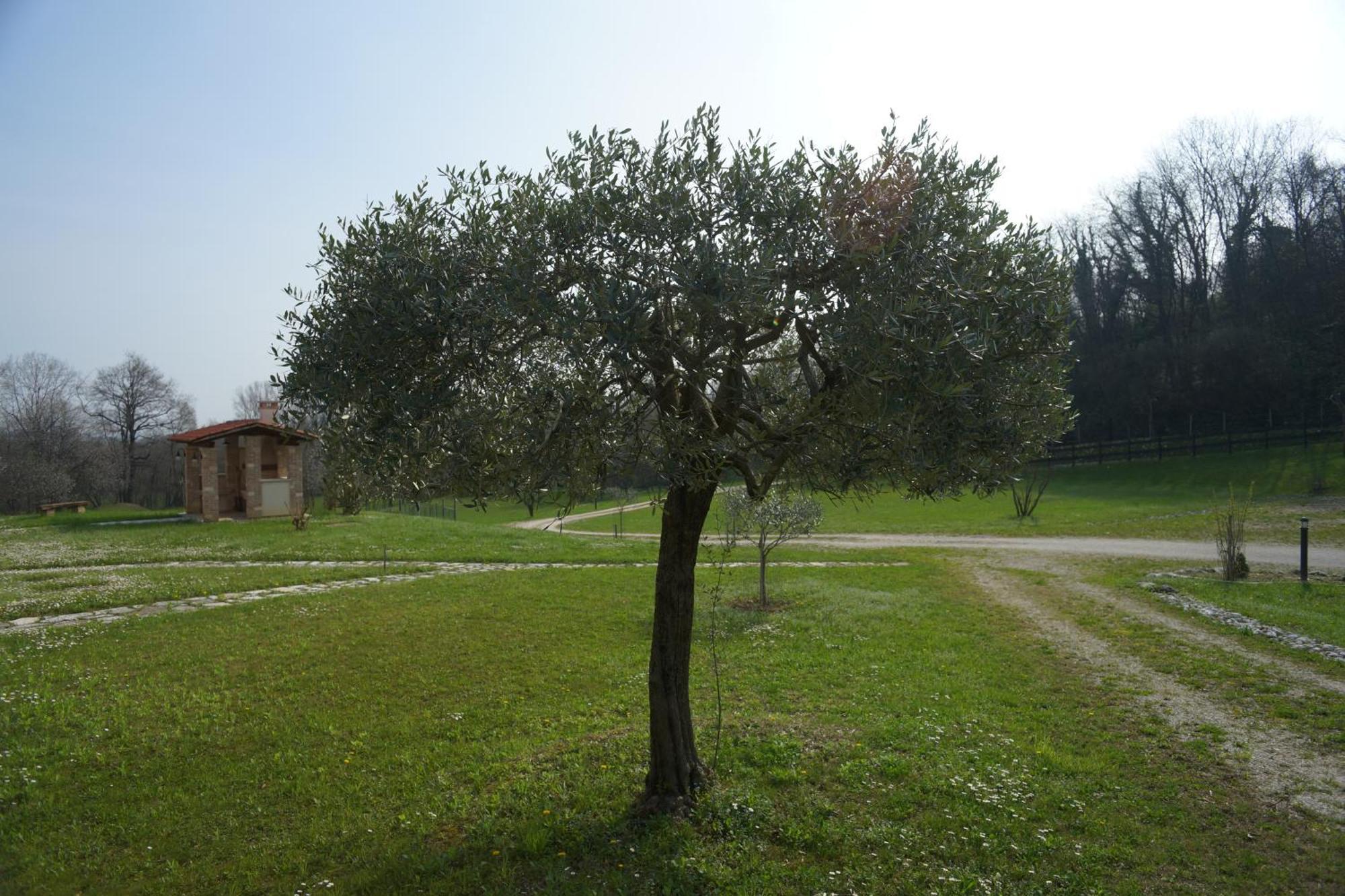 Nikolas' Valley Cornuda Zewnętrze zdjęcie
